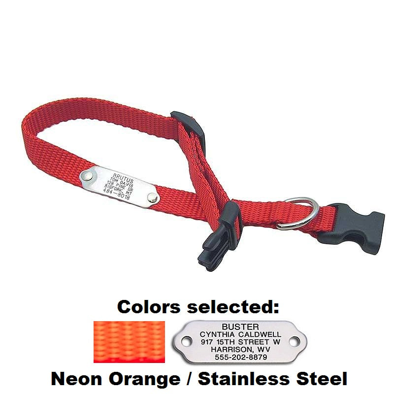 Rivet ID Collar for Dogs, - Lucky Pet